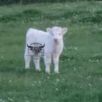 Photo 1683308510072 scaled