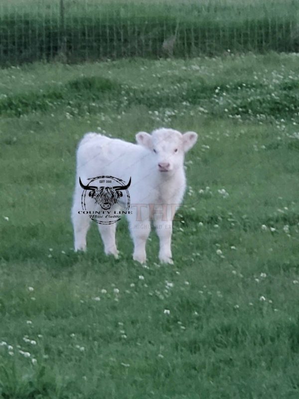 Photo 1683308510072 scaled