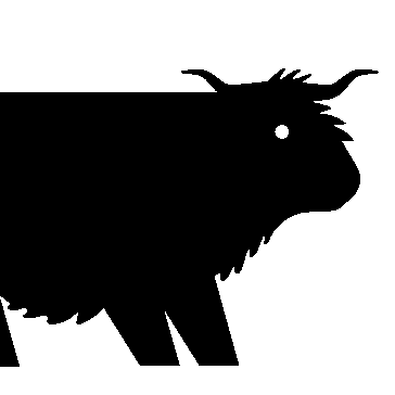 Peters Creek Cattle Co