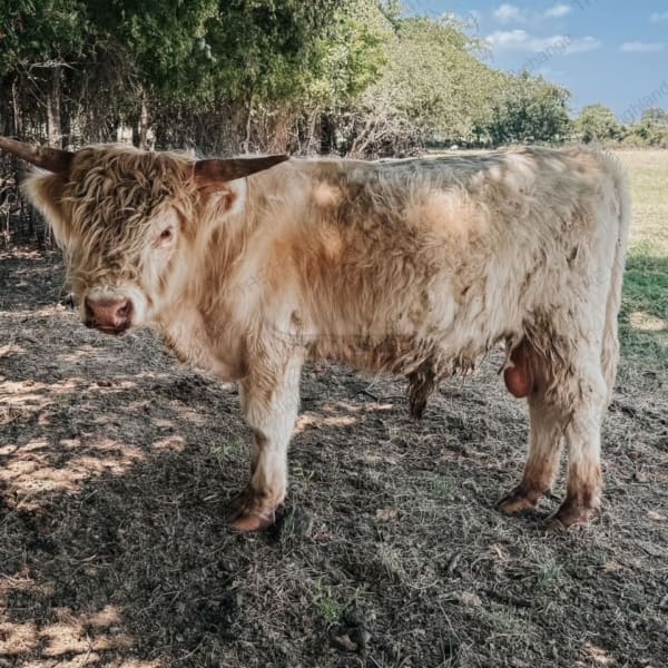 cropped-hamish3.jpg